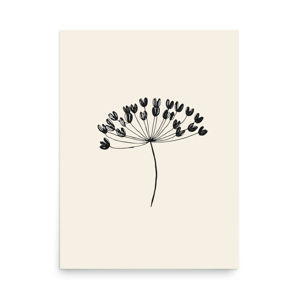 A minimalist botanical line drawing of a wild celery seed umbellule printed on an art print. 18″×24″ size.