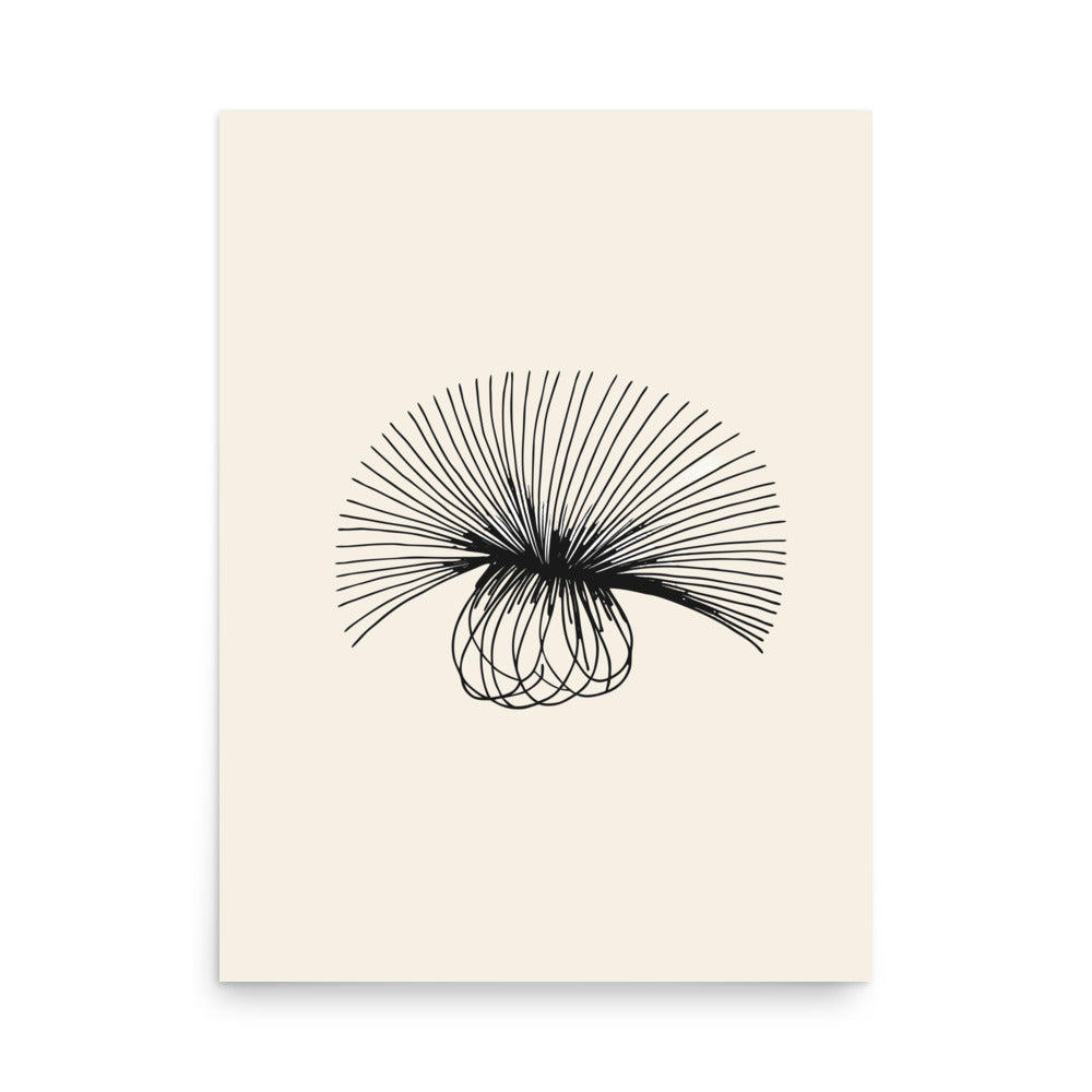 A detailed botanical line drawing of a sow thistle seed head, printed on a fine art print. 18″×24″ size.