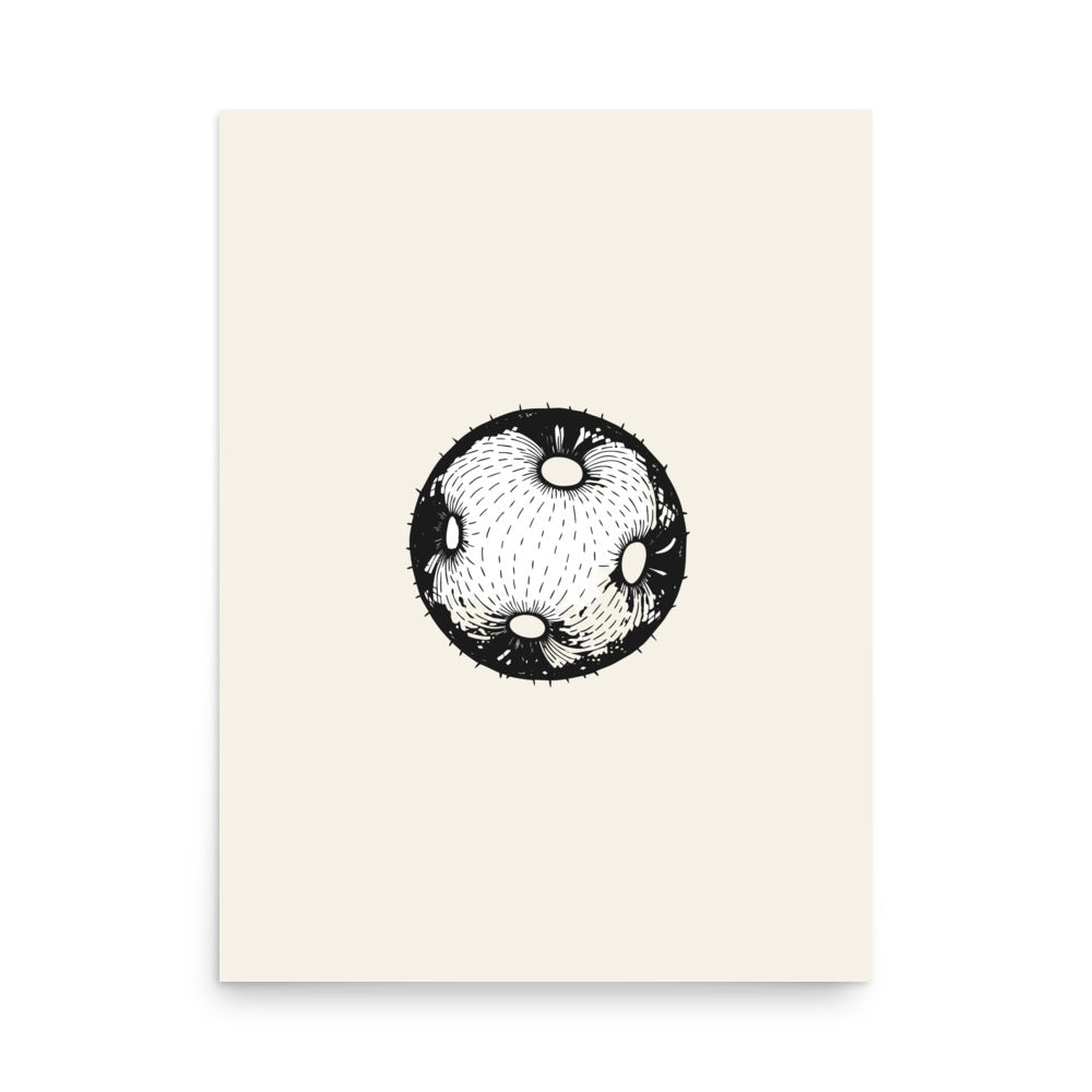 A minimalist micrographic drawing of a single spheroidal Cucurbita pollen grain printed on an art print. 18″×24″ size.