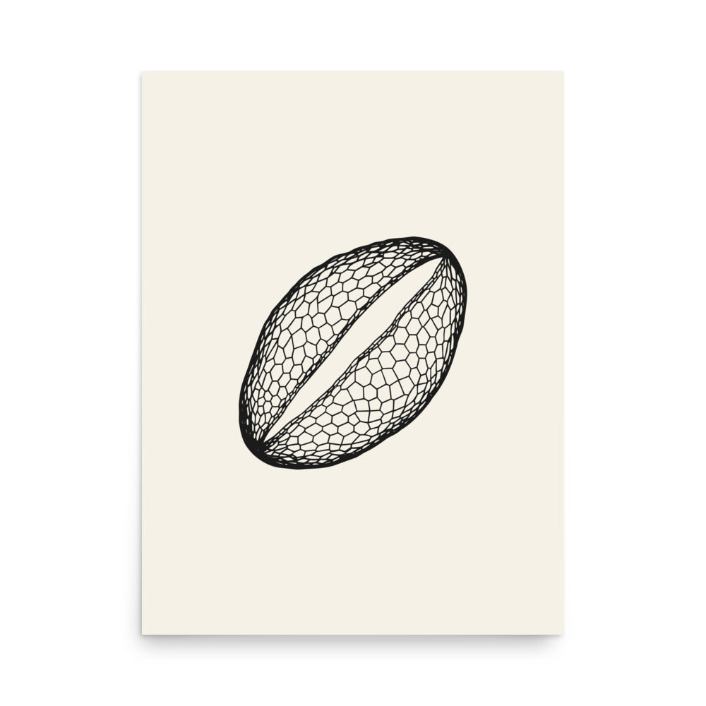 A minimalist line drawing of a single lily pollen grain with a reticulated wall on an art print. 18″×24″ size.