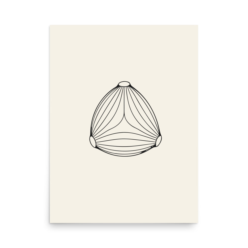 Minimalist line drawing of a three-pored birch pollen grain on an art print. 18″×24″ size.