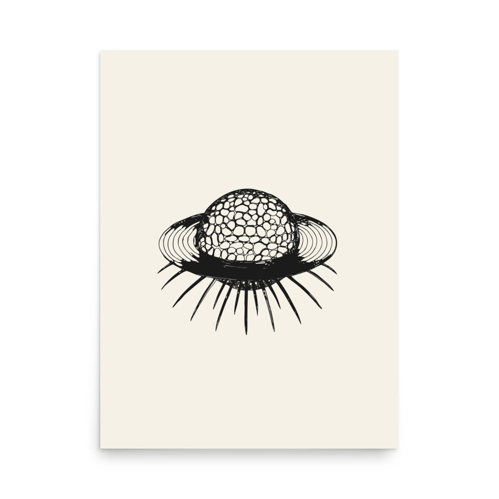 An orthographic drawing of a Saturnalis radiolarian skeleton on an art print. 18″×24″ size.