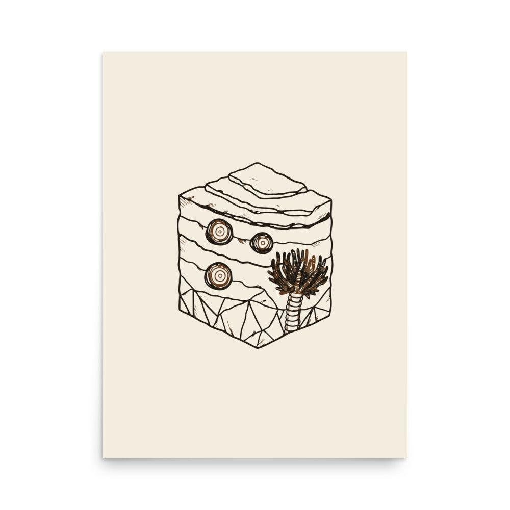 A detailed scientific line art illustration of a crinoid fossil printed on an art print. 18″×24″ size.