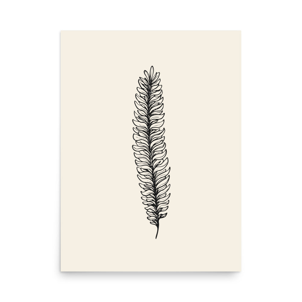 A botanical illustration of a running clubmoss vegetative branchlet printed on an art print. 18″×24″ size.