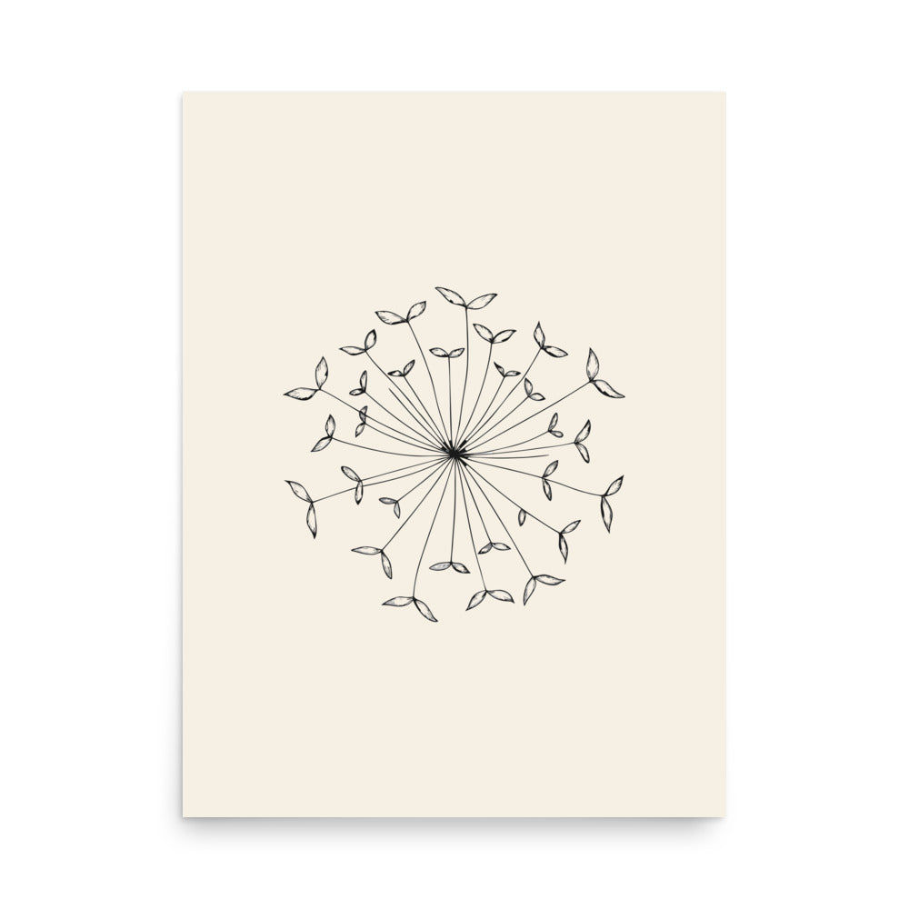 An isolated botanical line drawing of an Angelica seed umbellule printed as an art print. 18″×24″ size.