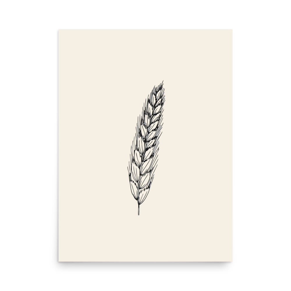 Fine hairline engraving of a single sweet vernal grass spikelet printed on an art print. 18″×24″ size.