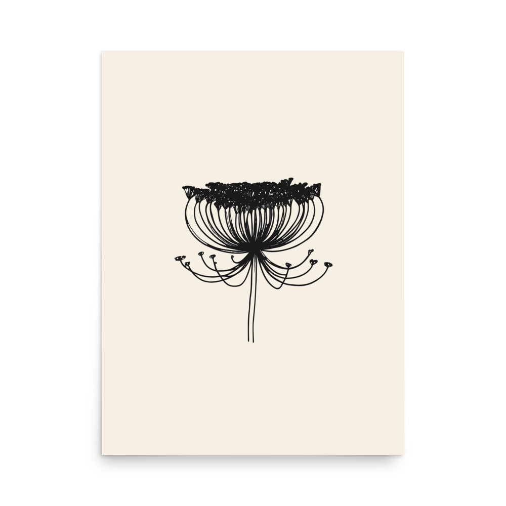 A detailed fine-line botanical illustration of a contracted wild carrot umbel printed on a vertical art print. 18″×24″ size.