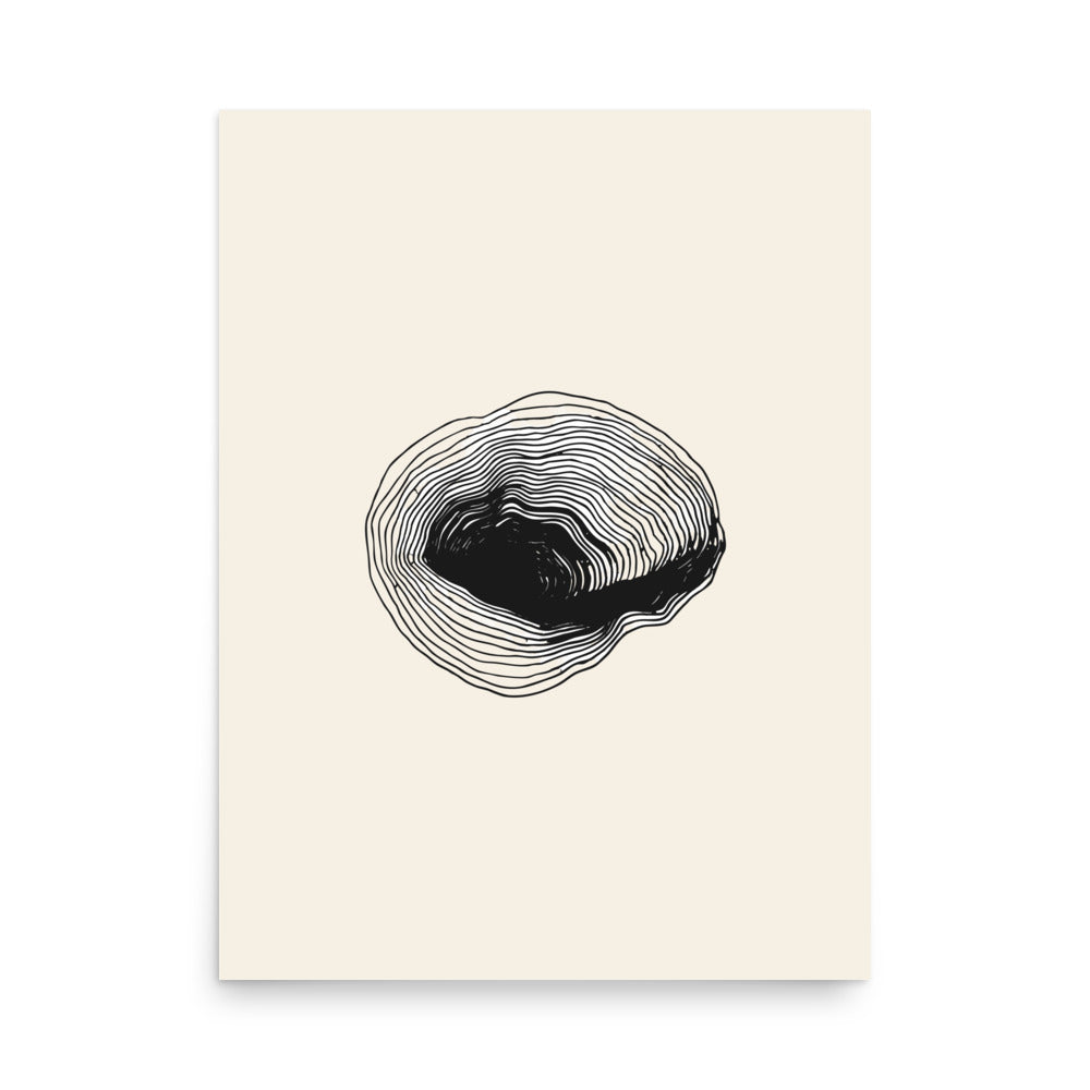 A precise bathymetric contour line study of a submerged volcanic caldera, printed on an art print. 18″×24″ size.