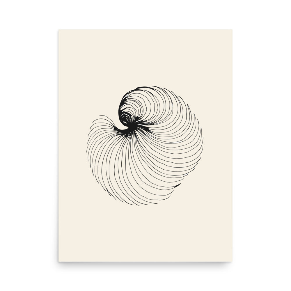 A detailed botanical-style astronomical engraving of comet dust striae printed on a minimalist art print. 18″×24″ size.