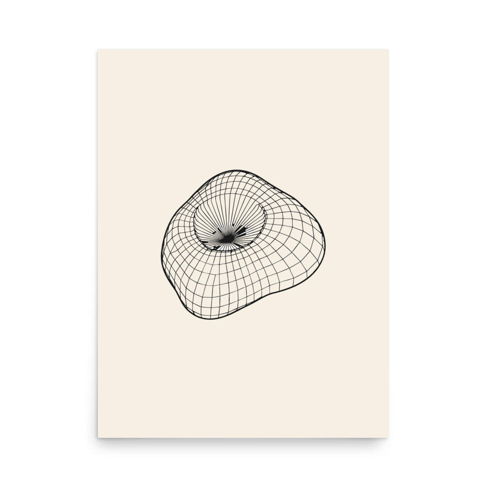 An isometric wireframe grid mapping the irregular form of Mars' moon Phobos, printed on an art print. 18″×24″ size.