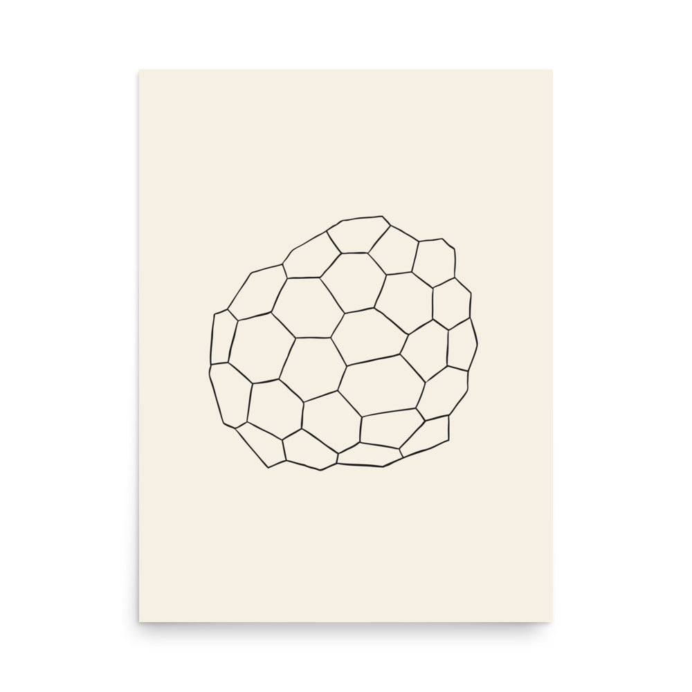 A minimalist fine line art illustration of desiccation polygon tessellation printed on an art print. 18″×24″ size.