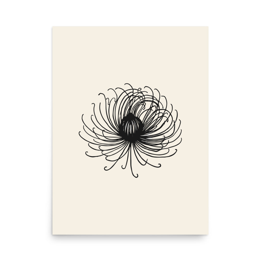 Engraving-style study of a mountain avens seed head in fine hairline strokes printed on an art print. 18″×24″ size.