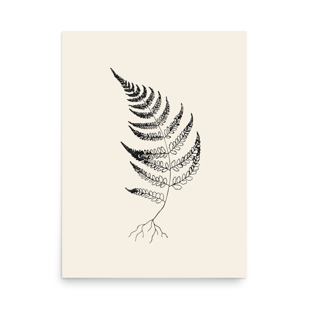 A wood fern engraving featuring detailed root structures and arched fronds, printed on an art print. 18″×24″ size.
