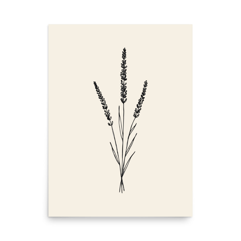 A line art illustration of three bound lavender stems printed on an art print. 18″×24″ size.