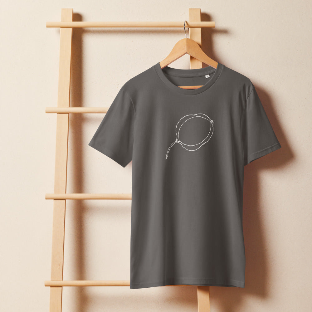 A minimalist, stippled line art drawing of a single translucent Lunaria seed pod on a t-shirt. On a wooden hanger, Slate colourway.