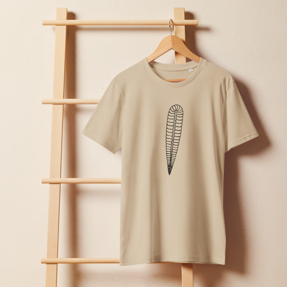 An orthocone nautiloid fossil longitudinal section line drawing printed on a t-shirt. On a wooden hanger, Clay colourway.