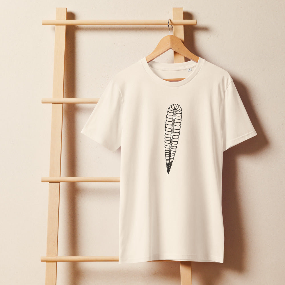 An orthocone nautiloid fossil longitudinal section line drawing printed on a t-shirt. On a wooden hanger, Bone colourway.